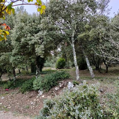 O'Fildl'Eau Gite Sillans-la Cascade Εξωτερικό φωτογραφία