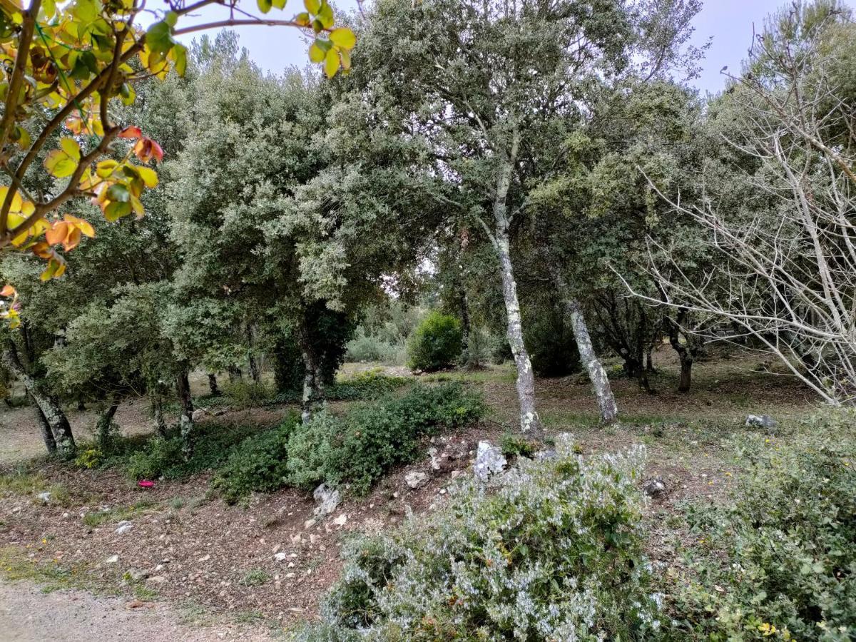 O'Fildl'Eau Gite Sillans-la Cascade Εξωτερικό φωτογραφία